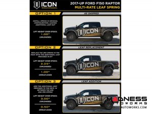 Ford F-150 Raptor Multi-Rate Leaf Spring Kit - Rear